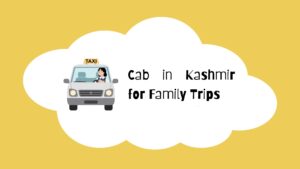 Cab in Kashmir for Family Trips