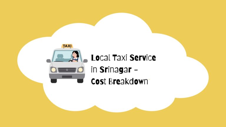 Local Taxi Service in Srinagar Cost Breakdown