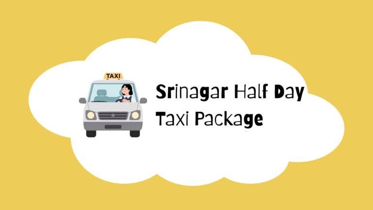 Srinagar Half Day Taxi Package