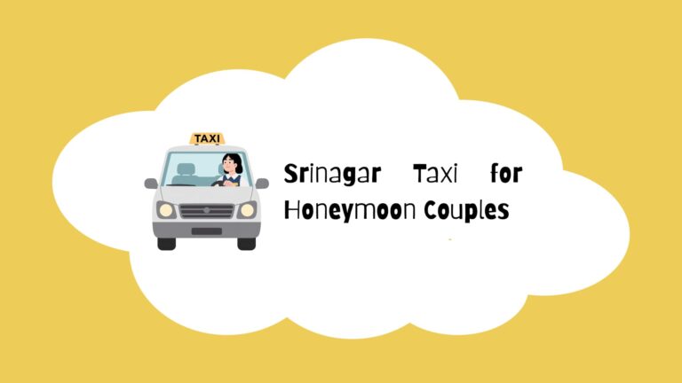 Srinagar Taxi for Honeymoon Couple